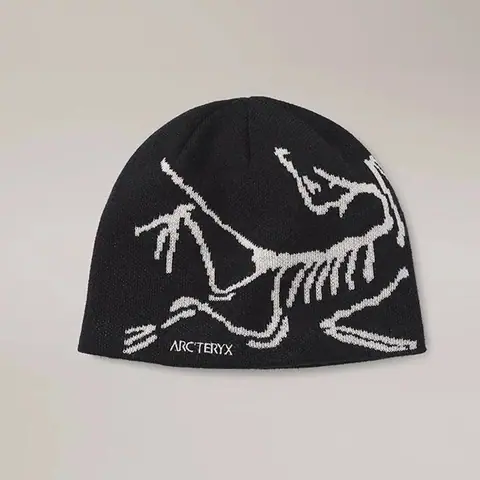 Autumn and Winter New Warm Wool Hat European Fashion Brand Men's and Women's Knitted Hat Headband Ear Protection Hat Outdoor Windproof Cold Hat on BoonBuy