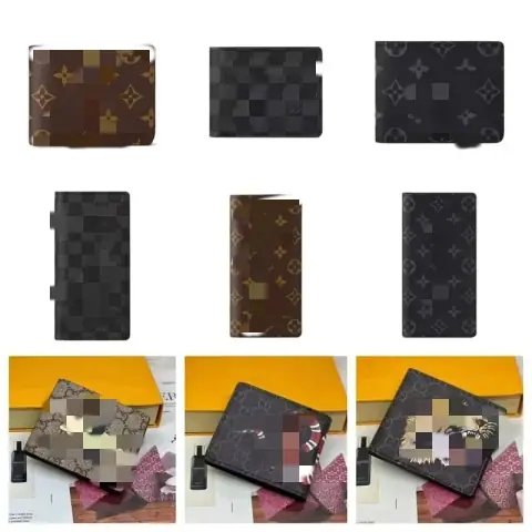 Fashion Wallet on BoonBuy