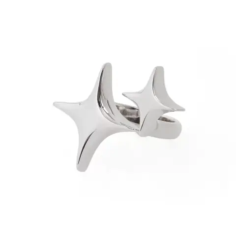 FE3CSS21 Bling Bling Ring Star Ring Silver Fine-Tunable on BoonBuy