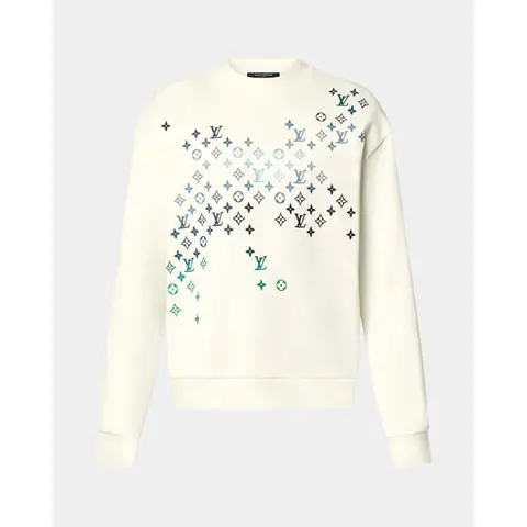 Louis Vuitton Embroidered on BoonBuy