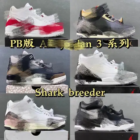 PB Jordan AJ 3 AJ3 on BoonBuy