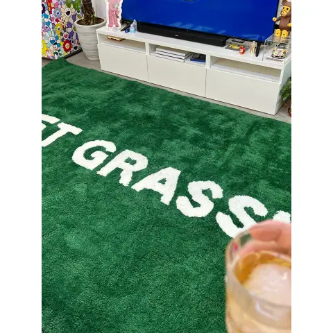 Wet Grass Rug on BoonBuy